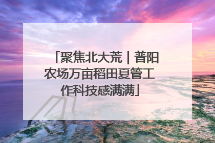 聚焦北大荒｜普阳农场万亩稻田夏管工作科技感满满