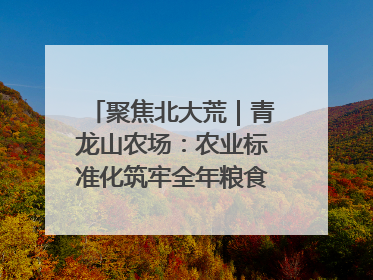 聚焦北大荒｜青龙山农场：农业标准化筑牢全年粮食安全根基