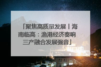 聚焦高质量发展丨海南临高：渔港经济奏响三产融合发展强音