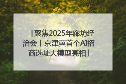 聚焦2025年廊坊经洽会丨京津冀首个AI招商选址大模型亮相