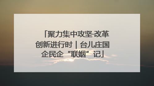 聚力集中攻坚·改革创新进行时｜台儿庄国企民企“联姻”记