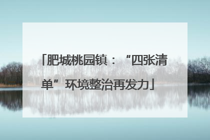 肥城桃园镇：“四张清单”环境整治再发力