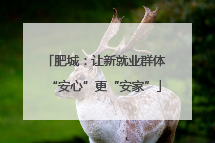 肥城：让新就业群体“安心”更“安家”