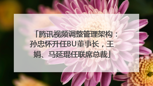 腾讯视频调整管理架构：孙忠怀升任BU董事长，王娟、马延琨任联席总裁