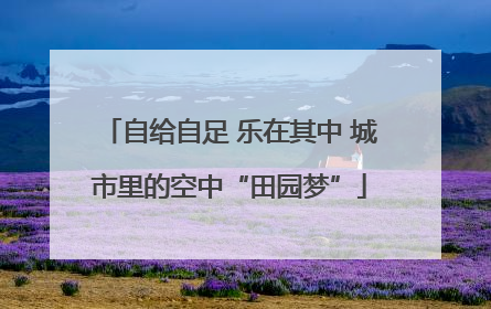 自给自足 乐在其中 城市里的空中“田园梦”
