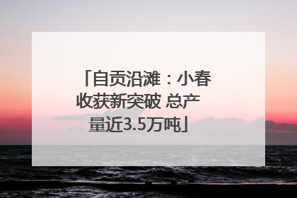 自贡沿滩：小春收获新突破 总产量近3.5万吨