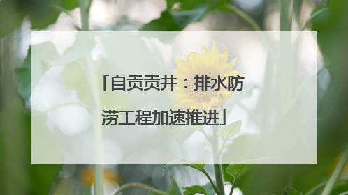 自贡贡井：排水防涝工程加速推进