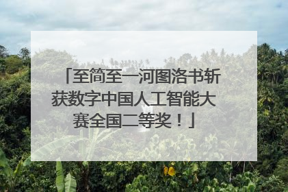 至简至一河图洛书斩获数字中国人工智能大赛全国二等奖！