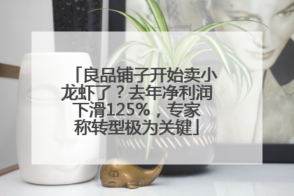 良品铺子开始卖小龙虾了？去年净利润下滑125%，专家称转型极为关键