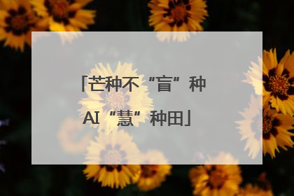 芒种不“盲”种 AI“慧”种田