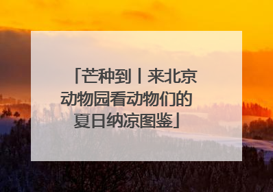 芒种到丨来北京动物园看动物们的夏日纳凉图鉴