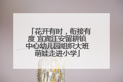 花开有时，衔接有度 宜宾江安留耕镇中心幼儿园组织大班萌娃走进小学