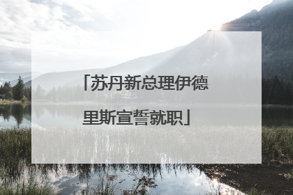 苏丹新总理伊德里斯宣誓就职
