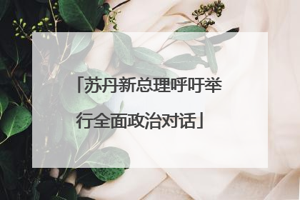 苏丹新总理呼吁举行全面政治对话