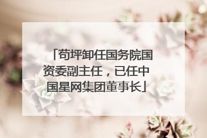 苟坪卸任国务院国资委副主任，已任中国星网集团董事长