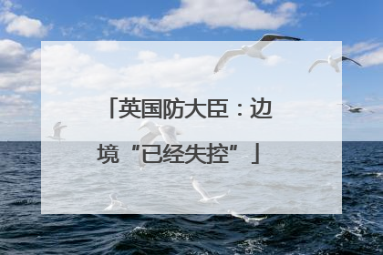 英国防大臣：边境“已经失控”