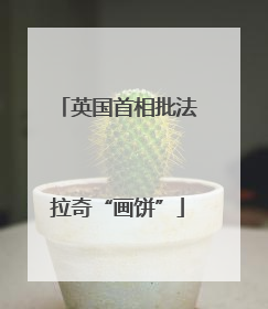 英国首相批法拉奇“画饼”