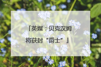 英媒：贝克汉姆将获封“爵士”