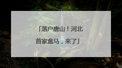 落户唐山！河北首家盒马，来了
