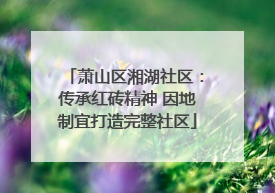 萧山区湘湖社区：传承红砖精神 因地制宜打造完整社区