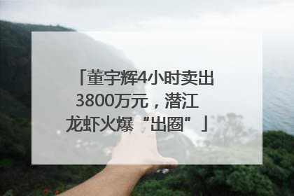 董宇辉4小时卖出3800万元，潜江龙虾火爆“出圈”