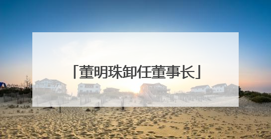 董明珠卸任董事长