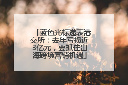 蓝色光标递表港交所：去年亏损近3亿元，要抓住出海跨境营销机遇
