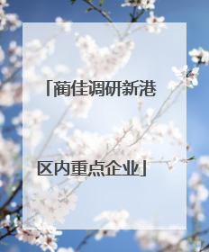 蔺佳调研新港区内重点企业