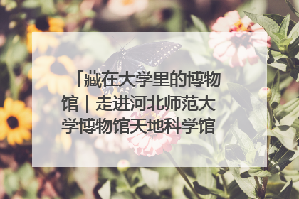 藏在大学里的博物馆｜走进河北师范大学博物馆天地科学馆：在校园里赴一场“宇宙之约”