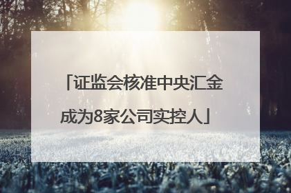 证监会核准中央汇金成为8家公司实控人