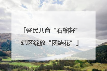 警民共育“石榴籽” 辖区绽放“团结花”