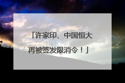 许家印、中国恒大再被签发限消令！
