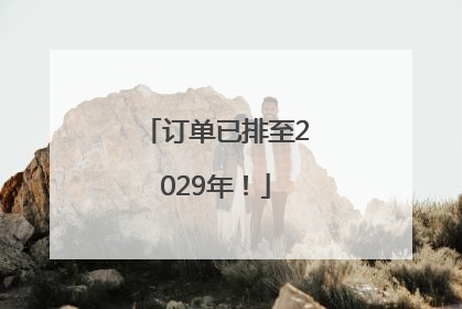 订单已排至2029年！