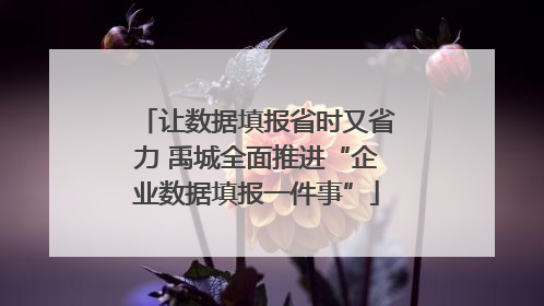 让数据填报省时又省力 禹城全面推进“企业数据填报一件事”