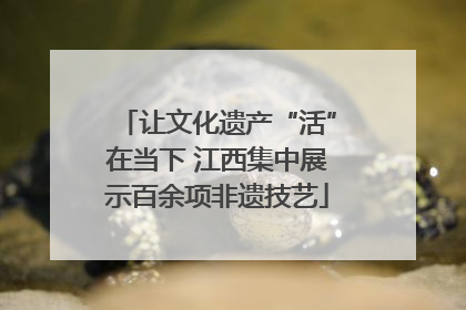 让文化遗产“活”在当下 江西集中展示百余项非遗技艺