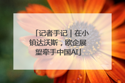 记者手记｜在小镇达沃斯，欧企展望牵手中国AI