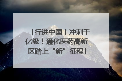 行进中国丨冲刺千亿级！通化医药高新区踏上“新”征程