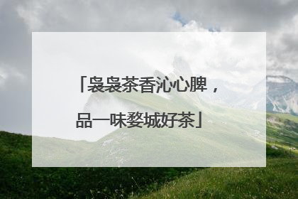 袅袅茶香沁心脾，品一味婺城好茶