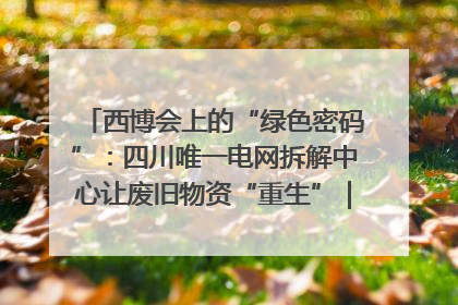 西博会上的“绿色密码”：四川唯一电网拆解中心让废旧物资“重生”｜西博寻“新”记