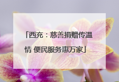 西充：慈善捐赠传温情 便民服务惠万家