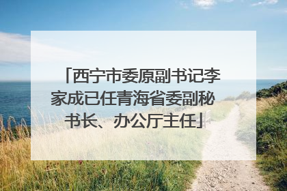 西宁市委原副书记李家成已任青海省委副秘书长、办公厅主任