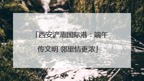 西安浐灞国际港：端午传文明 邻里情更浓