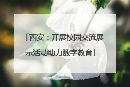 西安：开展校园交流展示活动助力数字教育
