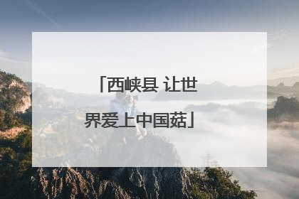 西峡县 让世界爱上中国菇