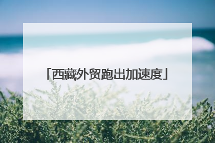 西藏外贸跑出加速度