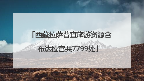 西藏拉萨普查旅游资源含布达拉宫共7799处