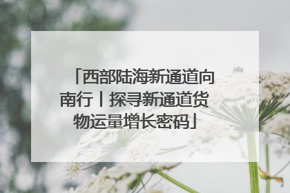 西部陆海新通道向南行丨探寻新通道货物运量增长密码