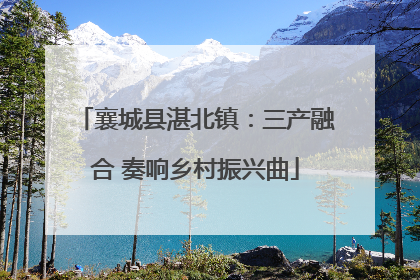 襄城县湛北镇：三产融合 奏响乡村振兴曲