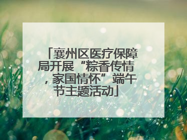 襄州区医疗保障局开展“粽香传情，家国情怀”端午节主题活动