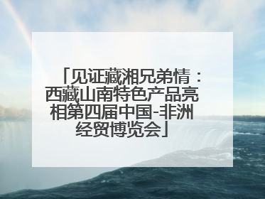 见证藏湘兄弟情：西藏山南特色产品亮相第四届中国-非洲经贸博览会